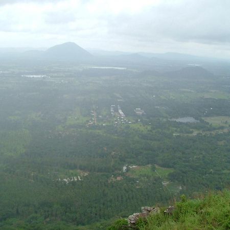 Raintree Villa Dambulla Kültér fotó