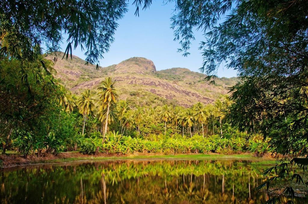 Raintree Villa Dambulla Kültér fotó