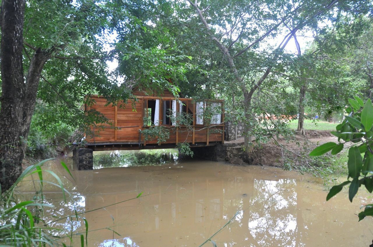 Raintree Villa Dambulla Kültér fotó
