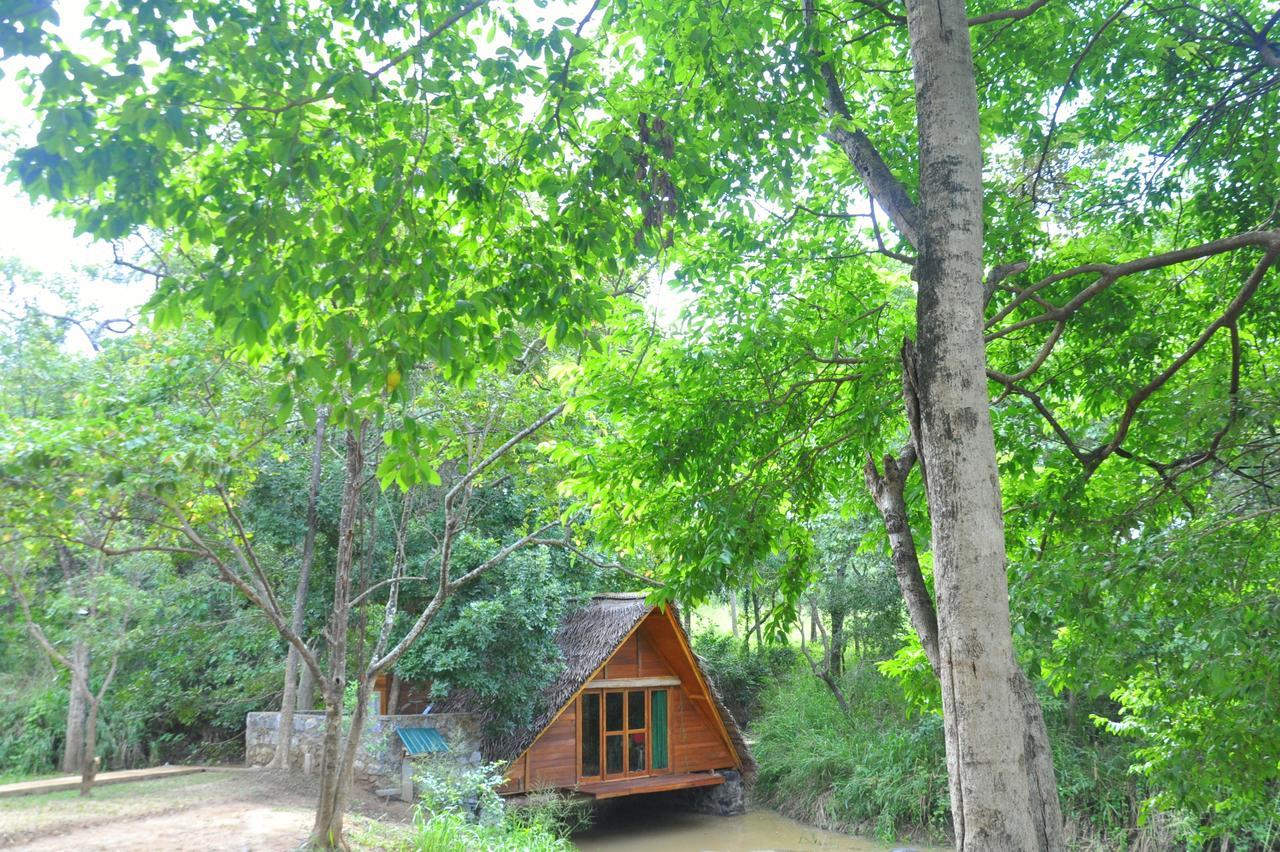 Raintree Villa Dambulla Kültér fotó