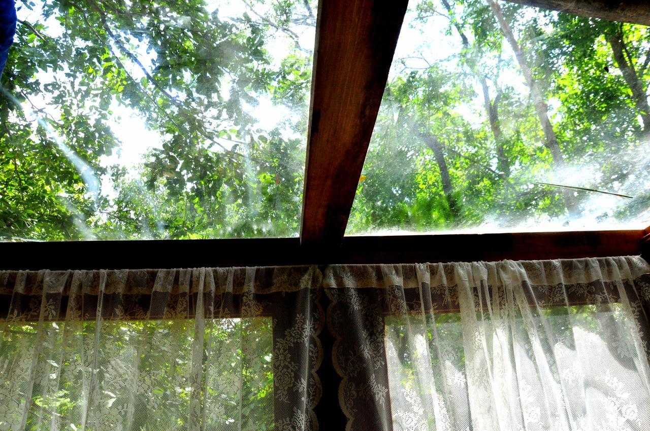 Raintree Villa Dambulla Kültér fotó