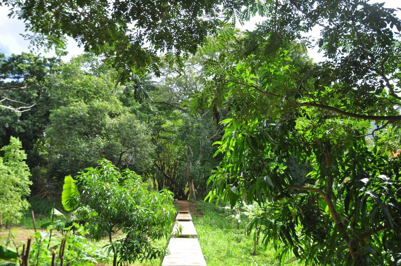 Raintree Villa Dambulla Kültér fotó