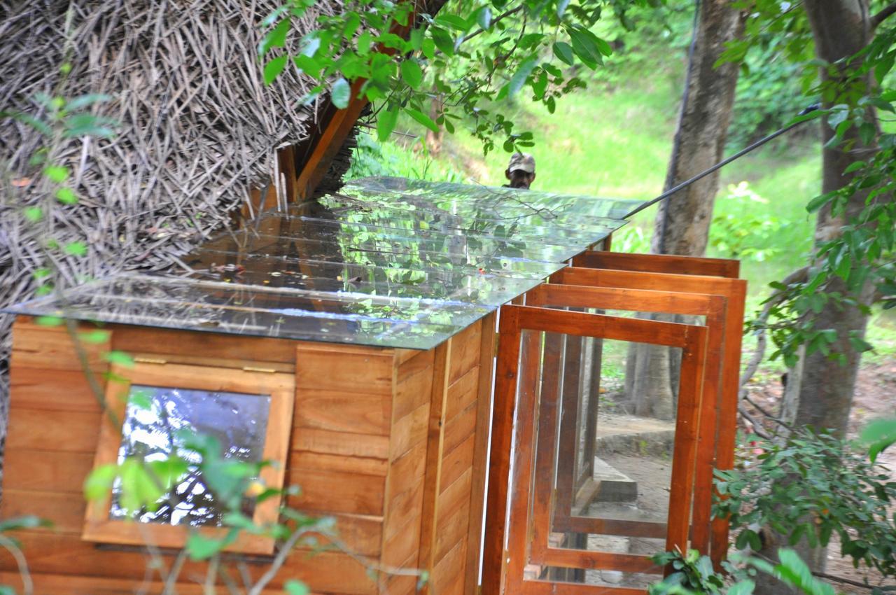 Raintree Villa Dambulla Kültér fotó