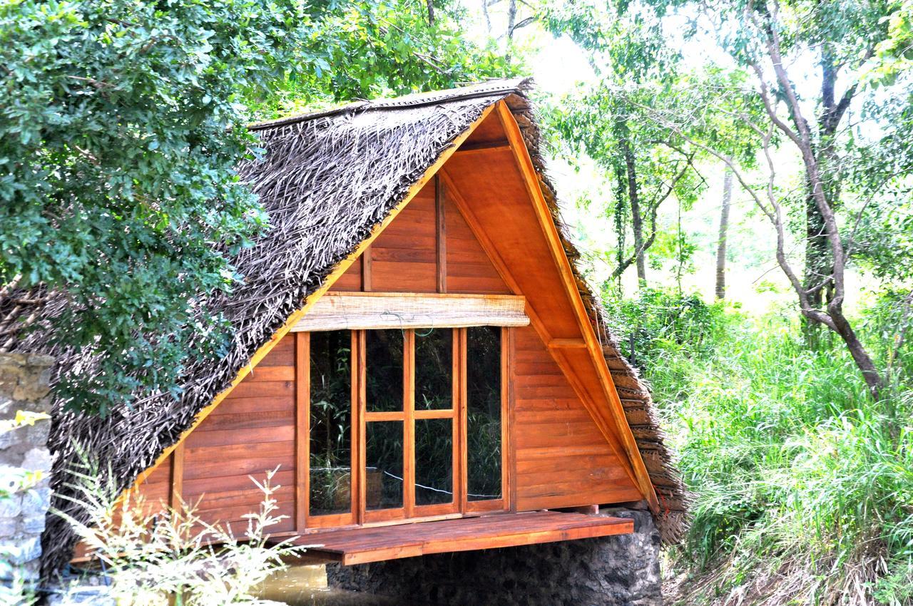 Raintree Villa Dambulla Kültér fotó