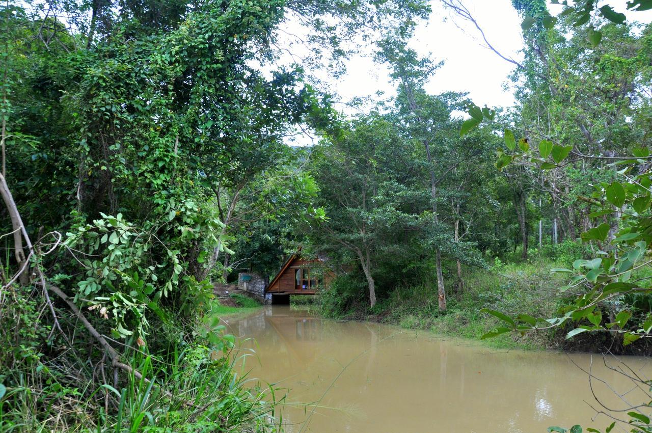 Raintree Villa Dambulla Kültér fotó