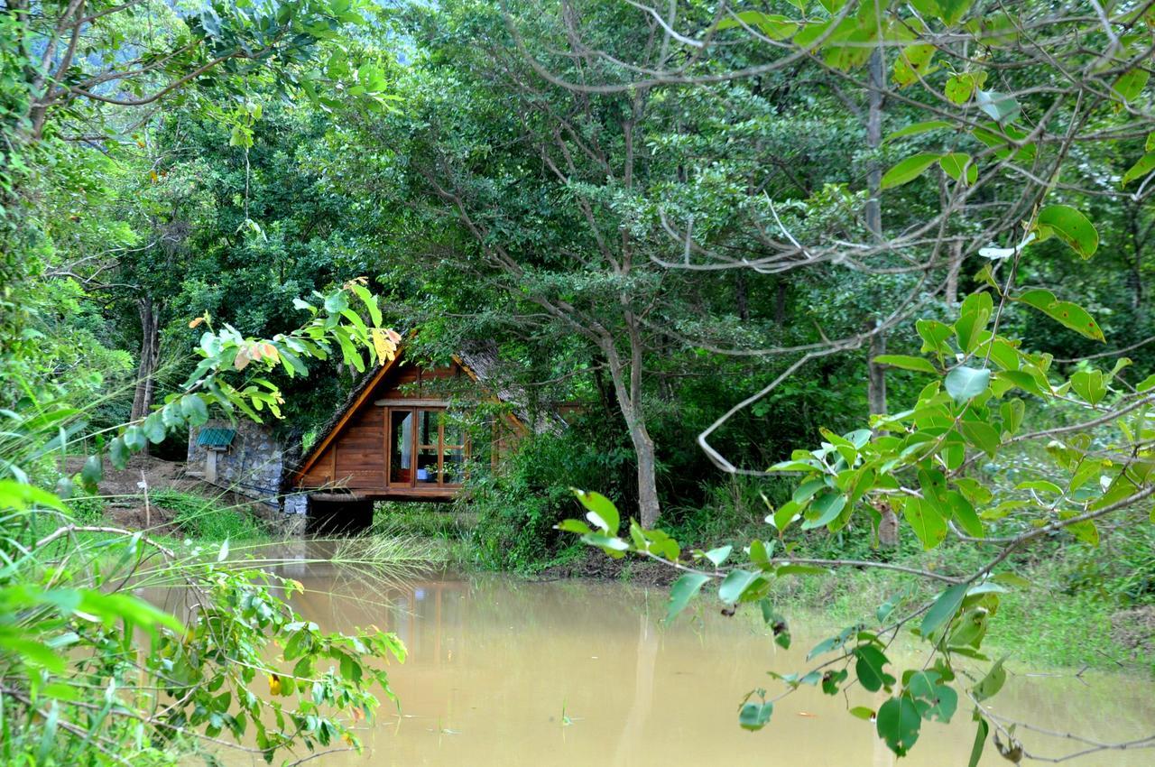 Raintree Villa Dambulla Kültér fotó