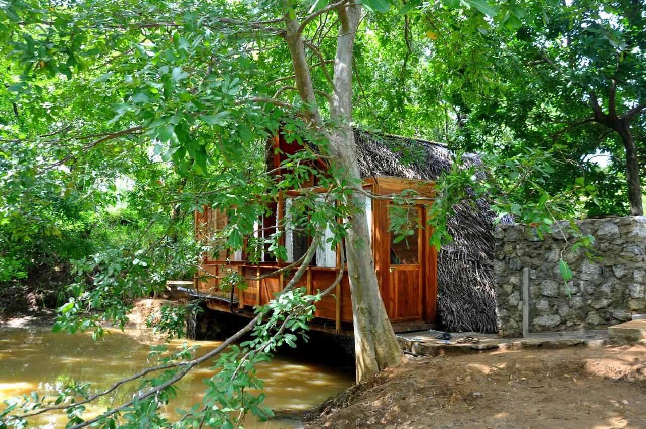 Raintree Villa Dambulla Kültér fotó