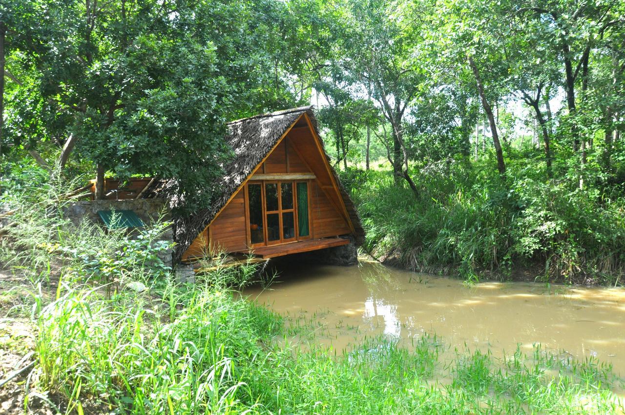 Raintree Villa Dambulla Kültér fotó