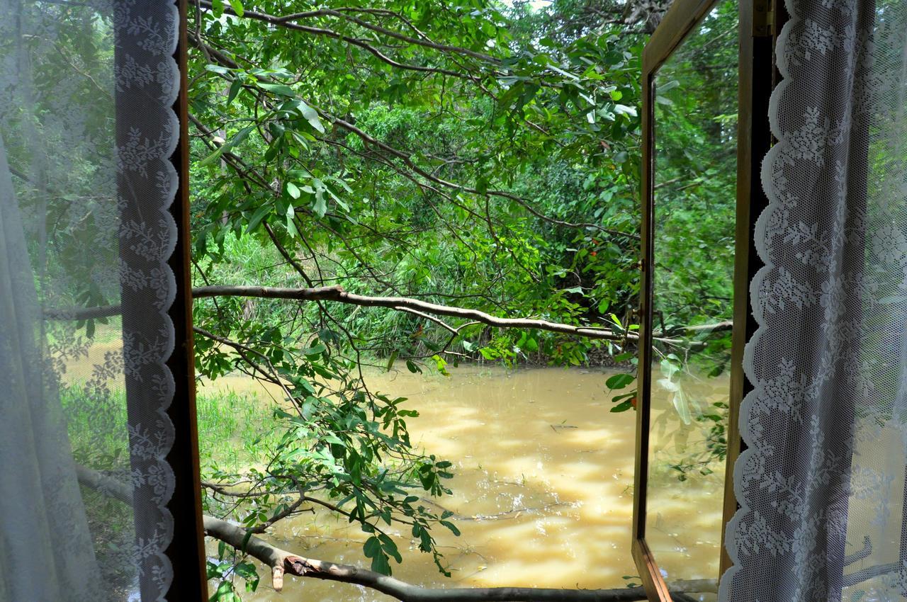 Raintree Villa Dambulla Kültér fotó
