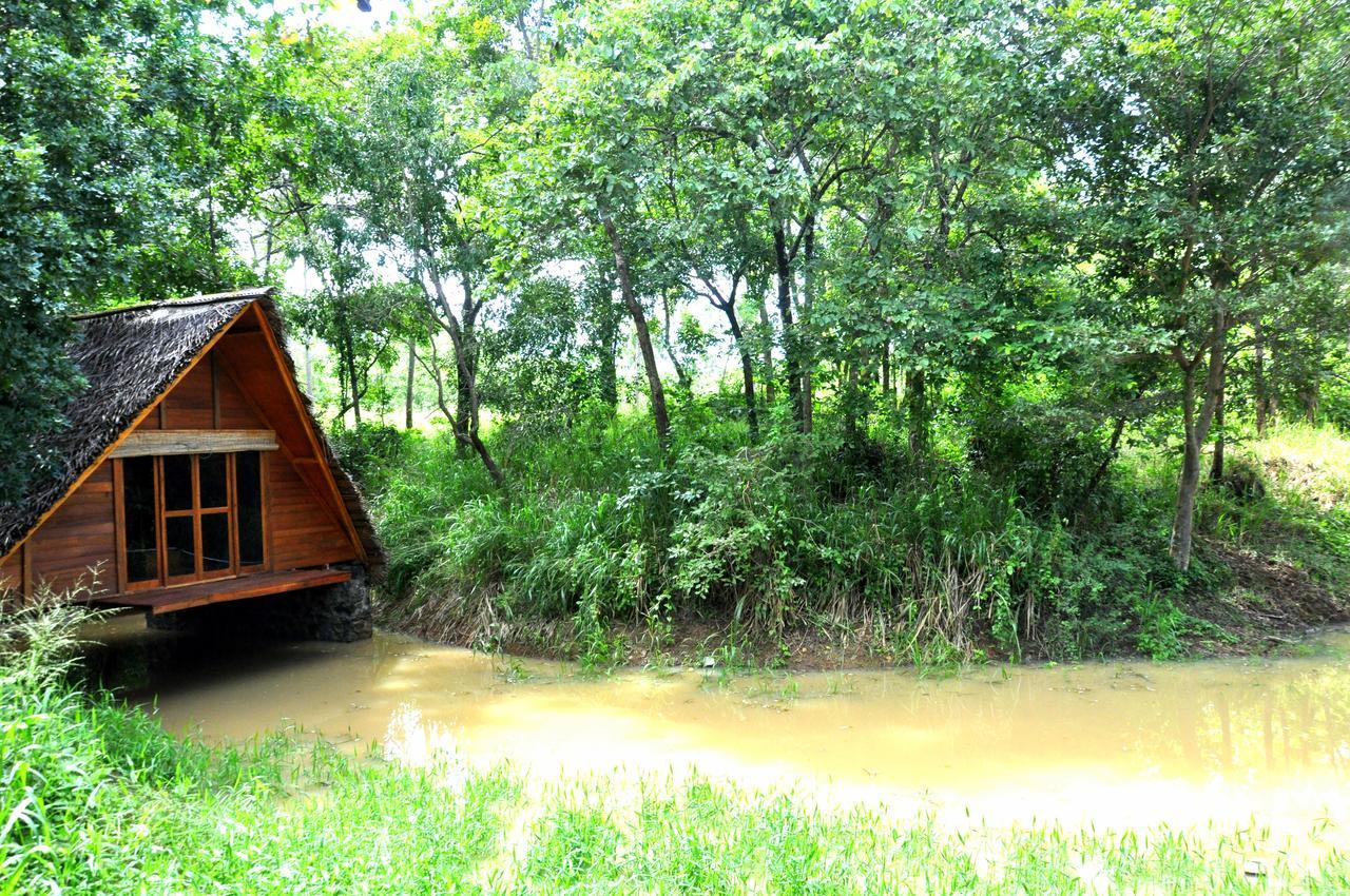 Raintree Villa Dambulla Kültér fotó