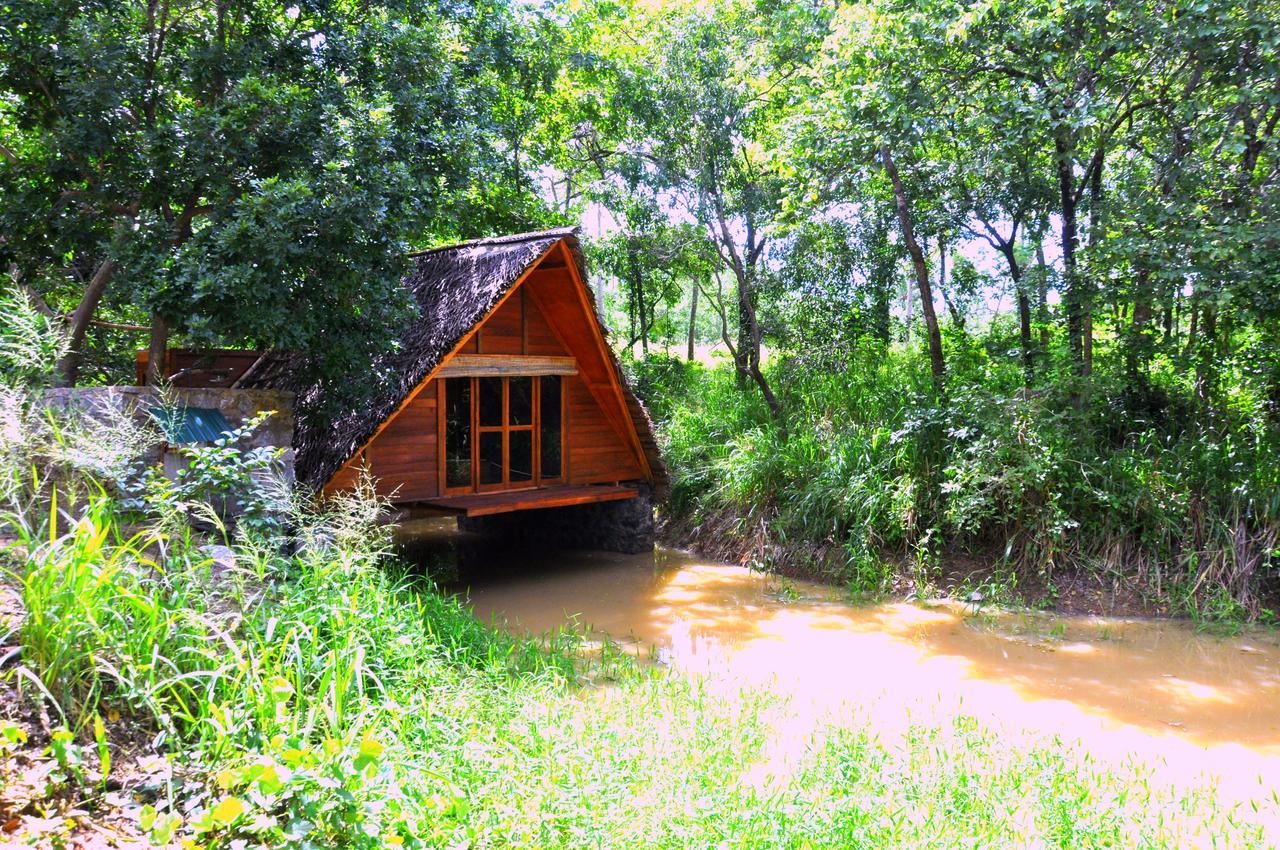 Raintree Villa Dambulla Kültér fotó