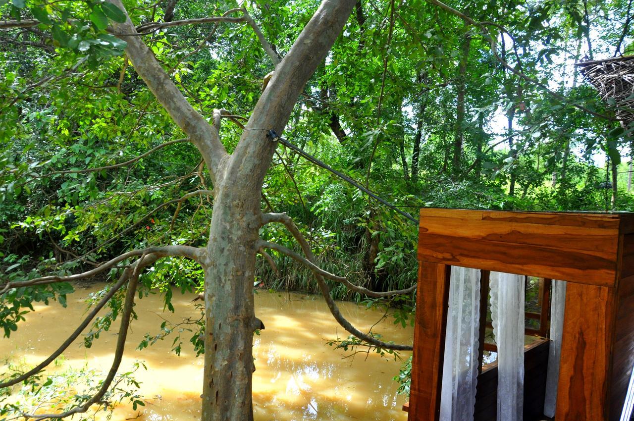 Raintree Villa Dambulla Kültér fotó