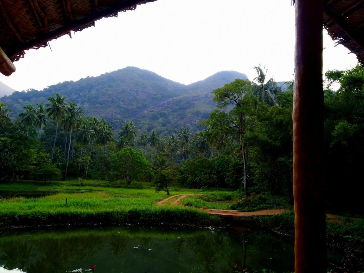 Raintree Villa Dambulla Kültér fotó