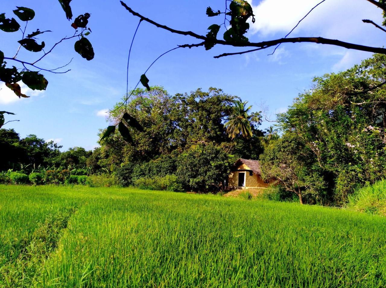 Raintree Villa Dambulla Kültér fotó