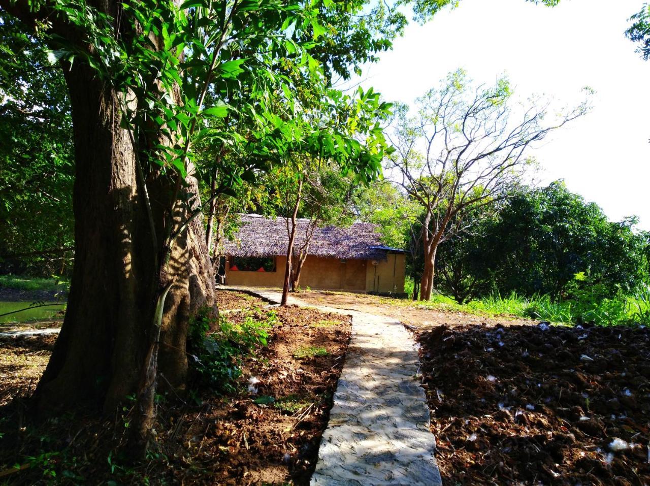 Raintree Villa Dambulla Kültér fotó