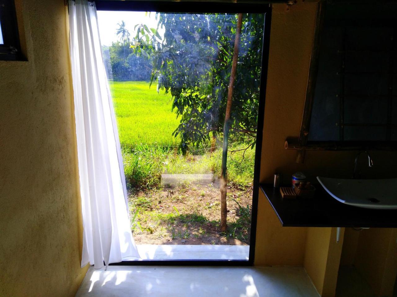 Raintree Villa Dambulla Kültér fotó