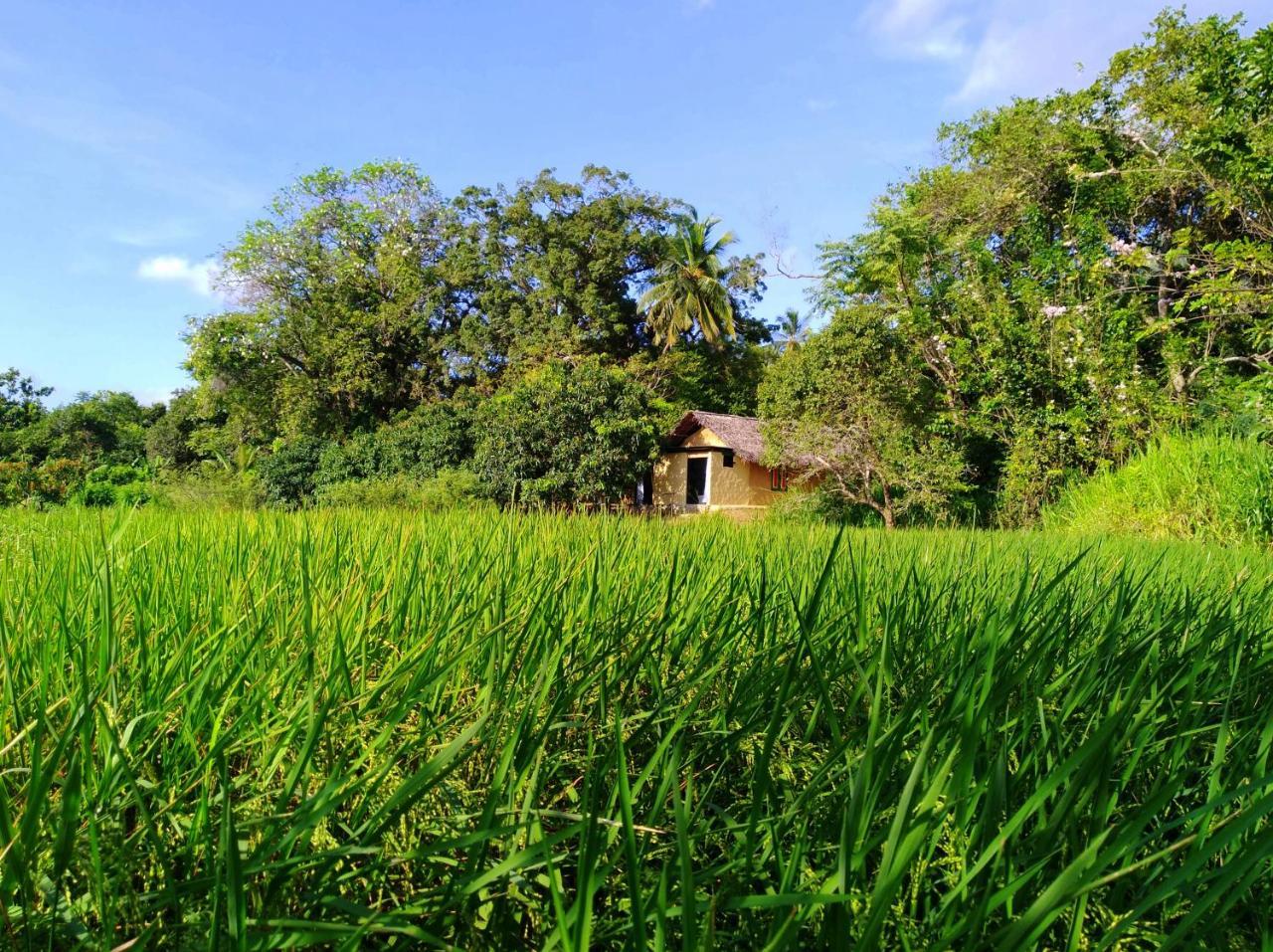 Raintree Villa Dambulla Kültér fotó