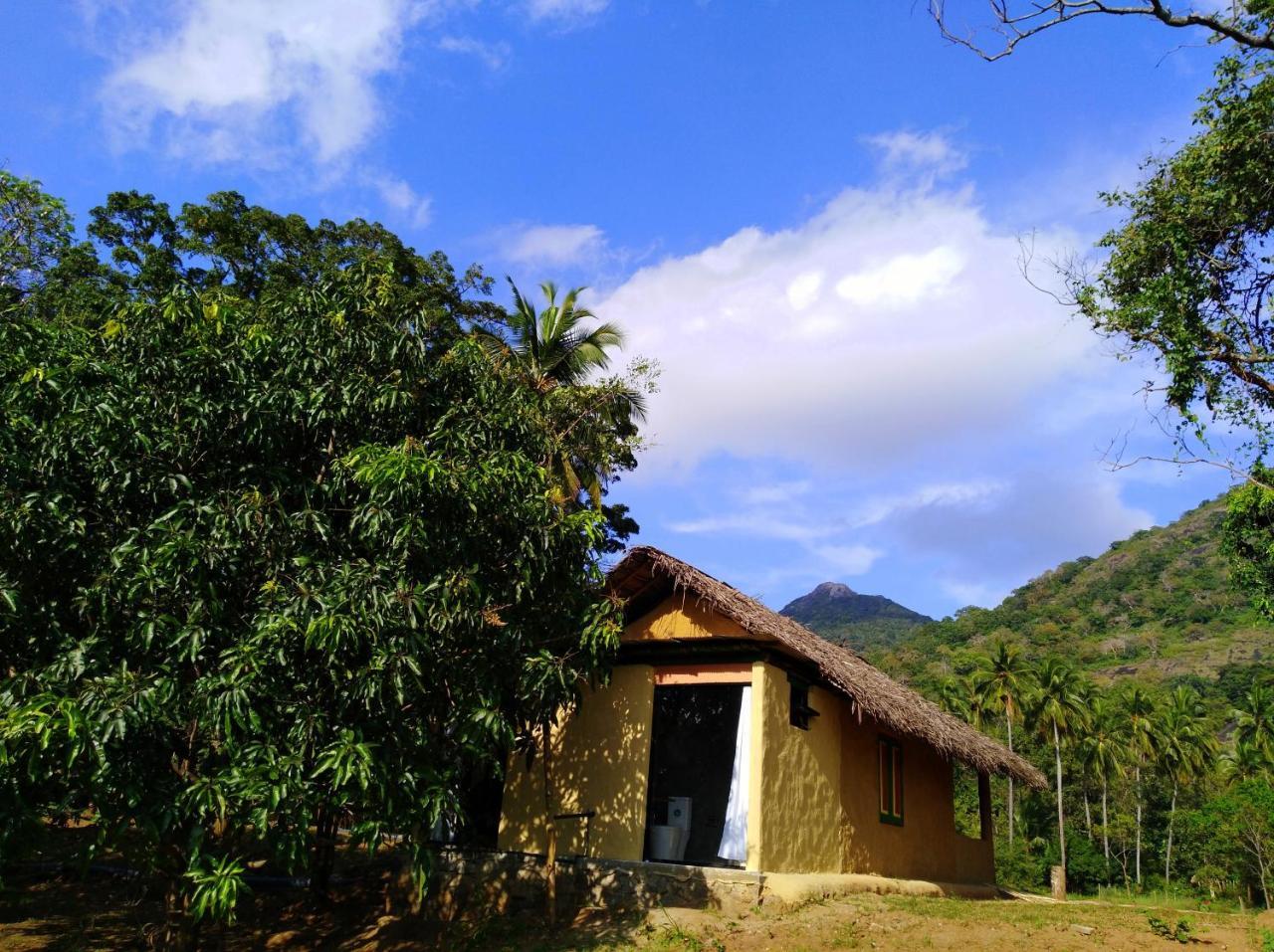 Raintree Villa Dambulla Kültér fotó