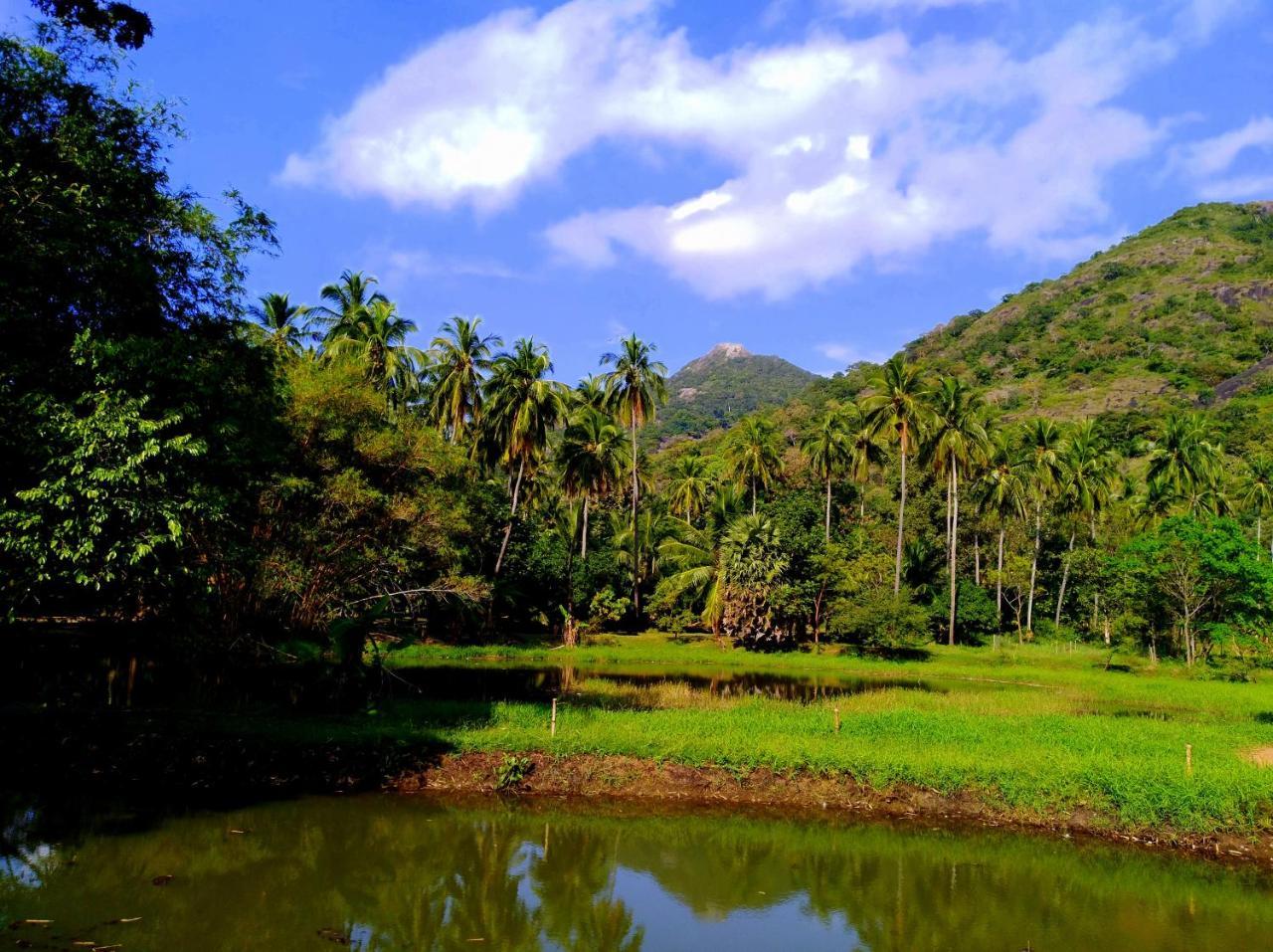 Raintree Villa Dambulla Kültér fotó