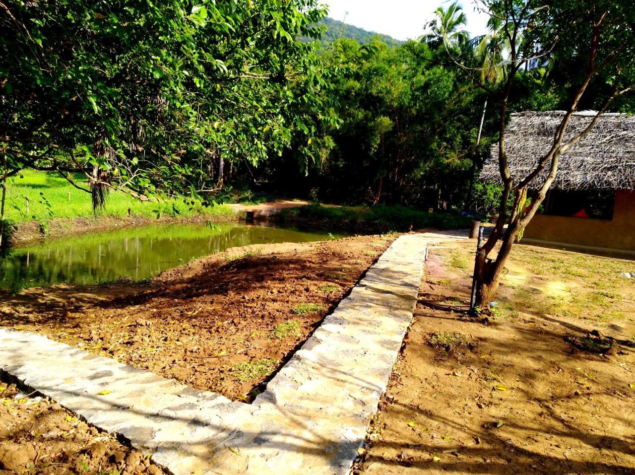 Raintree Villa Dambulla Kültér fotó